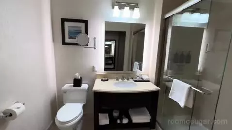 Guest Room, 1 King, City View, Main (#704) bathroom picture #1