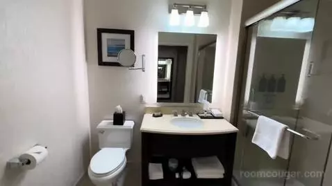 Guest Room, 1 King, City View, Main (#704) bathroom picture #2