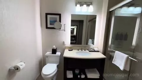 Guest Room, 1 King, City View, Main (#704) bathroom picture #3