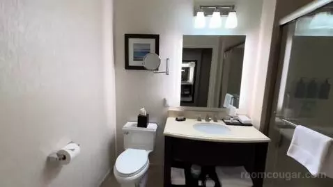 Guest Room, 1 King, City View, Main (#704) bathroom picture #5
