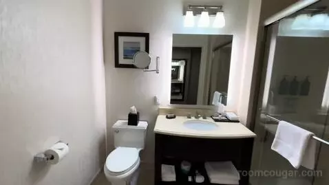 Guest Room, 1 King, City View, Main (#704) picture #11
