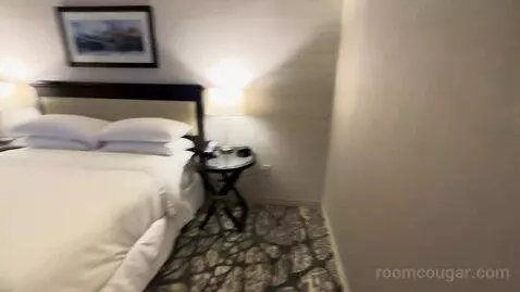Guest Room, 1 King, City View, Main (#704) picture #3