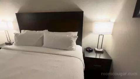 Standard King Room (#303) bed picture #11