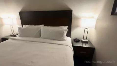 Standard King Room (#303) bed picture #12