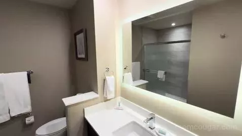 Standard King Room (#303) bathroom picture #1