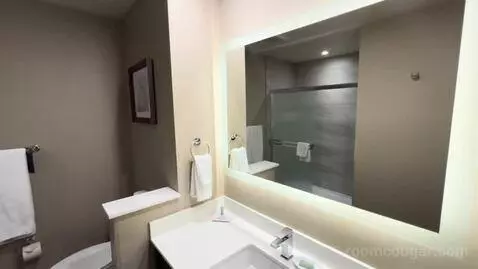 Standard King Room (#303) bathroom picture #3