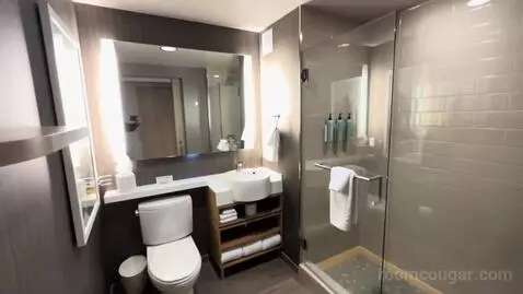 King Room (#1207) bathroom picture #1