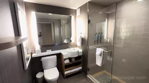 King Room (#1207) bathroom picture #4