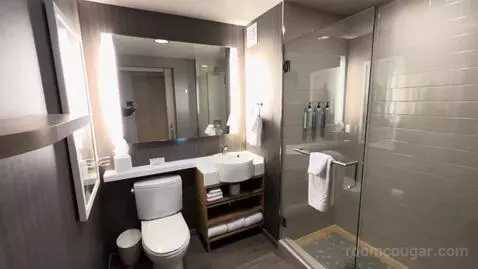King Room (#1207) bathroom picture #5