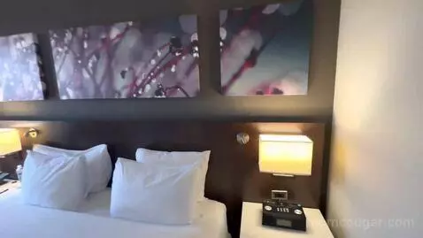 King Room with Lake View - High Floor (#910) bed picture #10