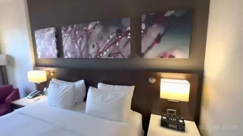 King Room with Lake View - High Floor (#910) bed picture #12