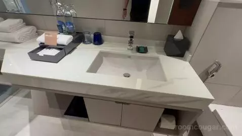 Deluxe King, Deluxe Guest Room, 1 King, City View (#1407) bathroom picture #5