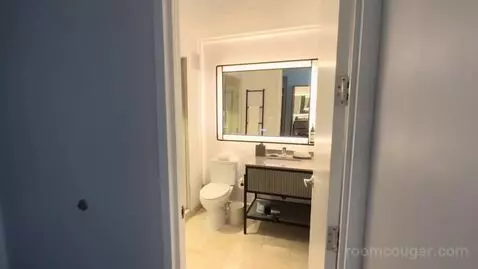 Premium King Room with Lake View (#3316) bathroom picture #1