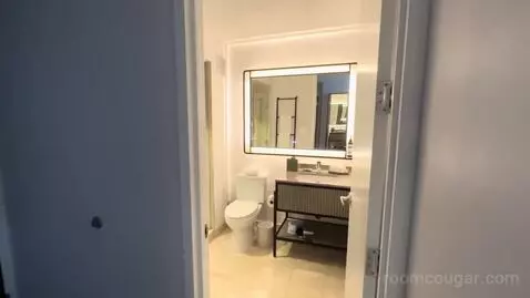 Premium King Room with Lake View (#3316) bathroom picture #2