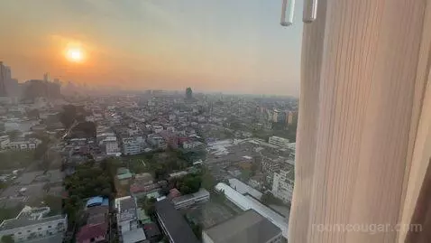 Deluxe King Room with City View view picture #8