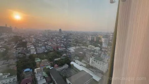 Deluxe King Room with City View view picture #12