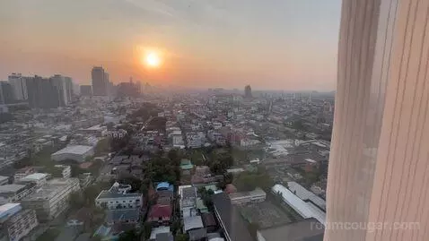 Deluxe King Room with City View view picture #1
