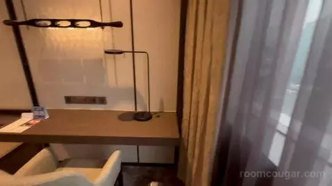 Premium King Room bed picture #7