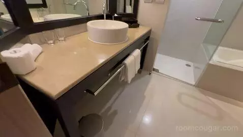 Premium King Room bathroom picture #1