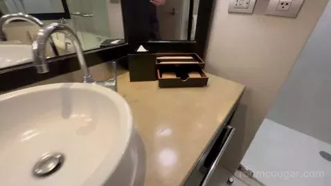 Premium King Room bathroom picture #2