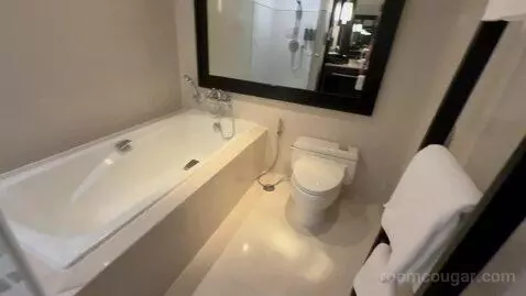 Premium King Room bathroom picture #5