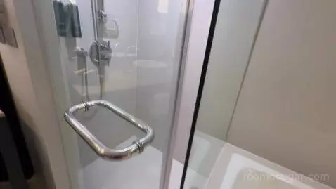 Premium King Room bathroom picture #6