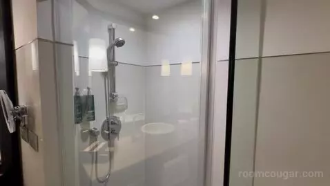 Premium King Room bathroom picture #7
