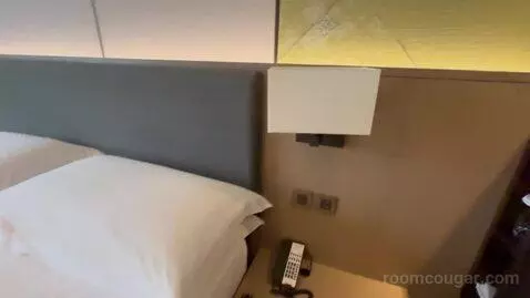 Premium King Room bed picture #3