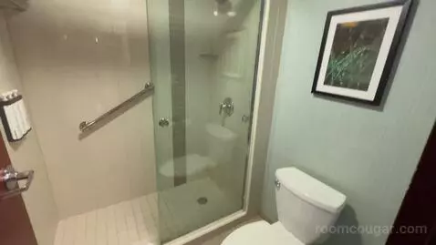Specialty King Room (#612) bathroom picture #9