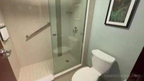 Specialty King Room (#612) bathroom picture #10