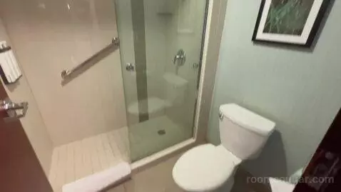Specialty King Room (#612) bathroom picture #11