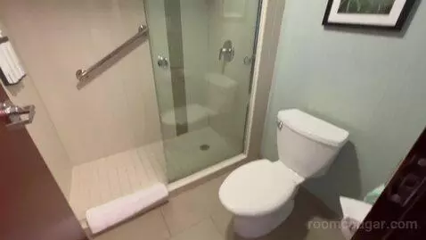 Specialty King Room (#612) bathroom picture #12