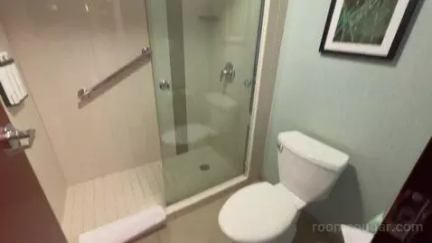 Specialty King Room (#612) picture #20
