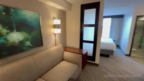 Specialty King Room (#612) picture #3