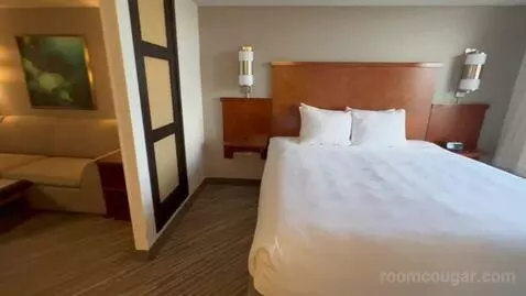 Specialty King Room (#612) picture #23