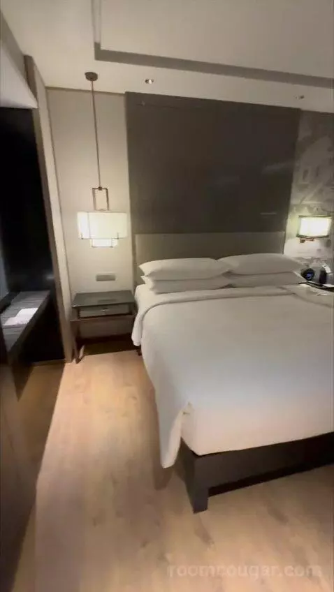 Deluxe King Room with City View (#838) bed picture #10