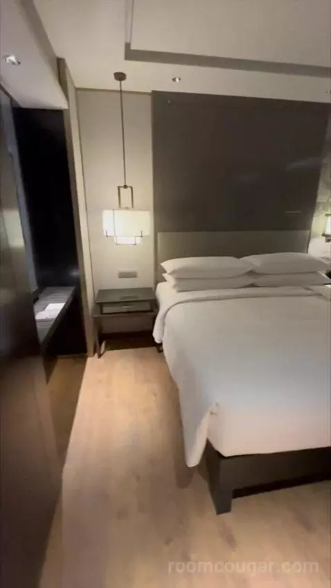 Deluxe King Room with City View (#838) bed picture #11