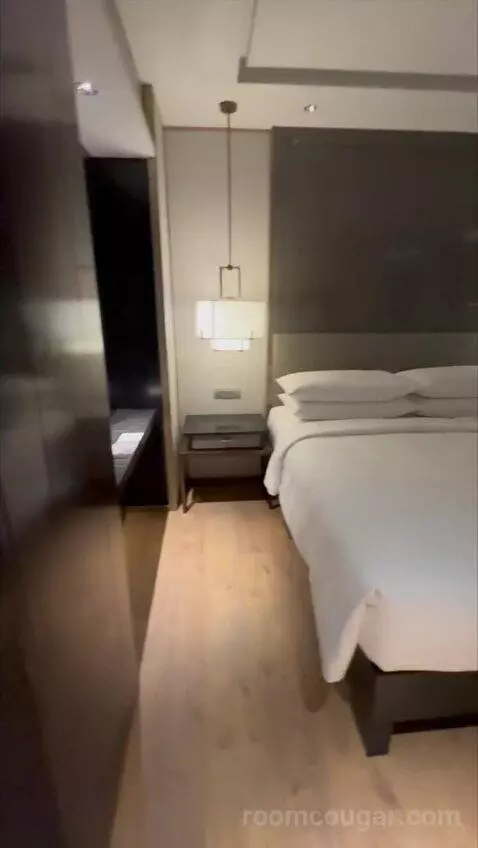 Deluxe King Room with City View (#838) bed picture #12