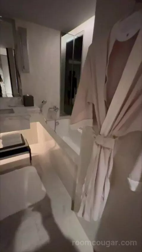 Deluxe King Room with City View (#838) bathroom picture #2