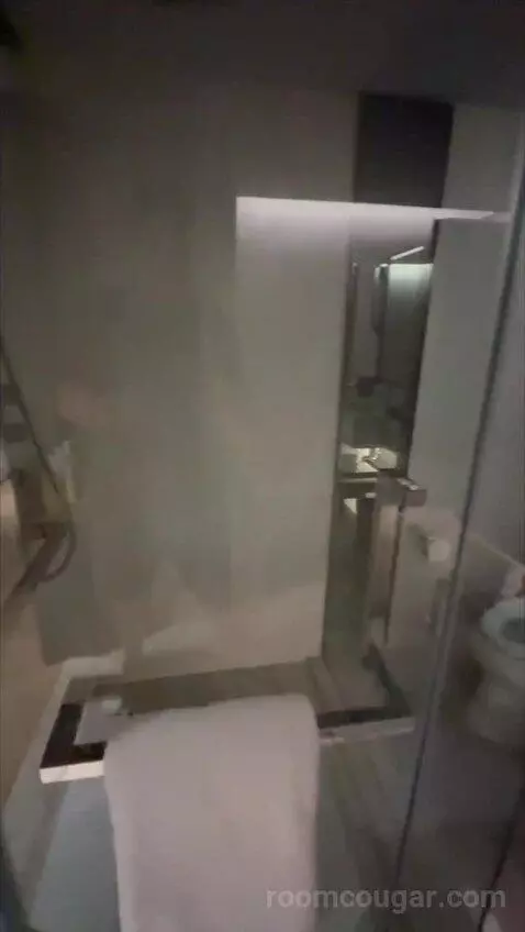 Deluxe King Room with City View (#838) bathroom picture #11