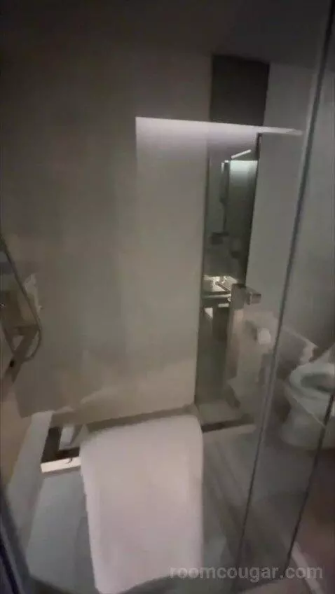 Deluxe King Room with City View (#838) bathroom picture #12