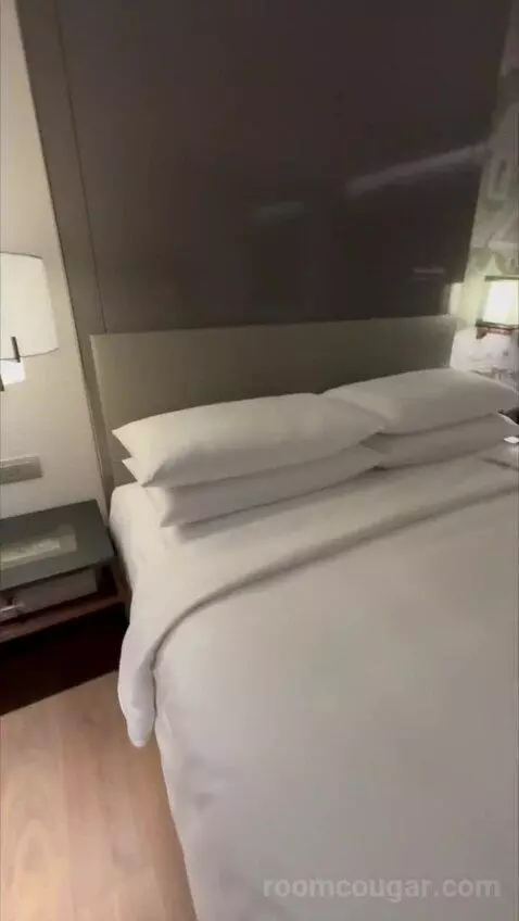 Deluxe King Room with City View (#838) bed picture #4
