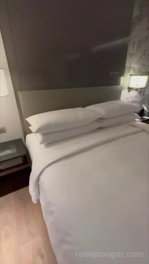 Deluxe King Room with City View (#838) bed picture #5