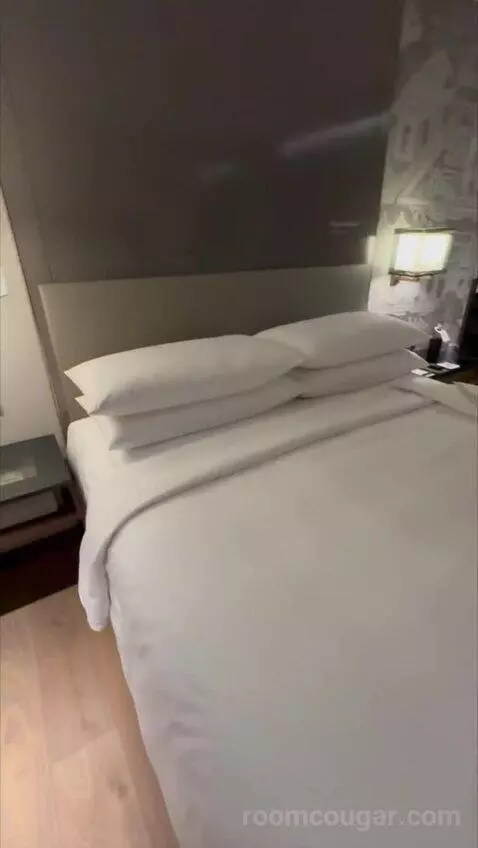 Deluxe King Room with City View (#838) bed picture #6