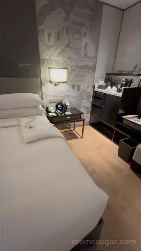 Deluxe King Room with City View (#838) bed picture #7