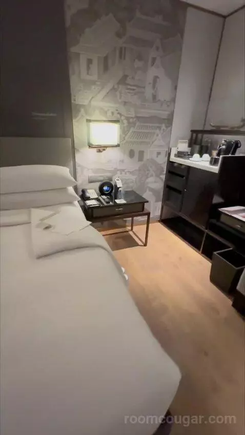 Deluxe King Room with City View (#838) bed picture #8