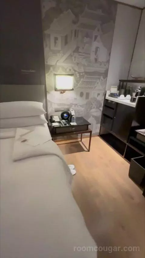 Deluxe King Room with City View (#838) bed picture #9