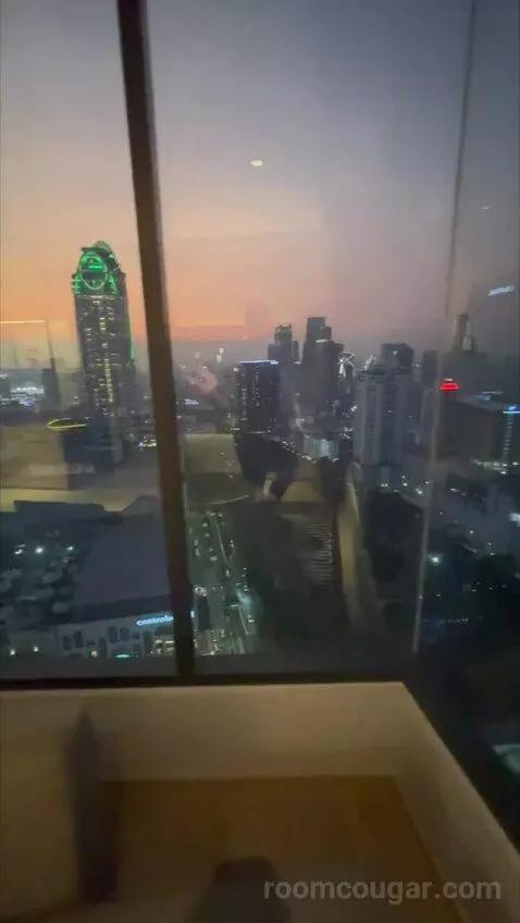 Deluxe Queen Room with City View (#2802) view picture #8