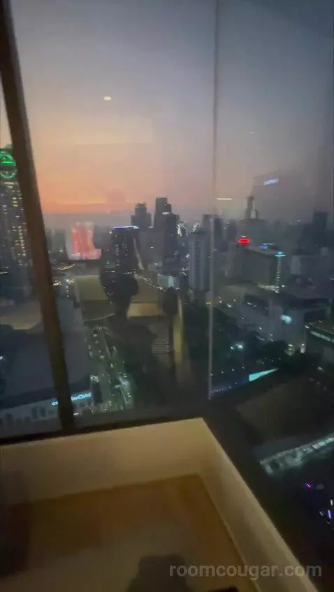 Deluxe Queen Room with City View (#2802) view picture #10