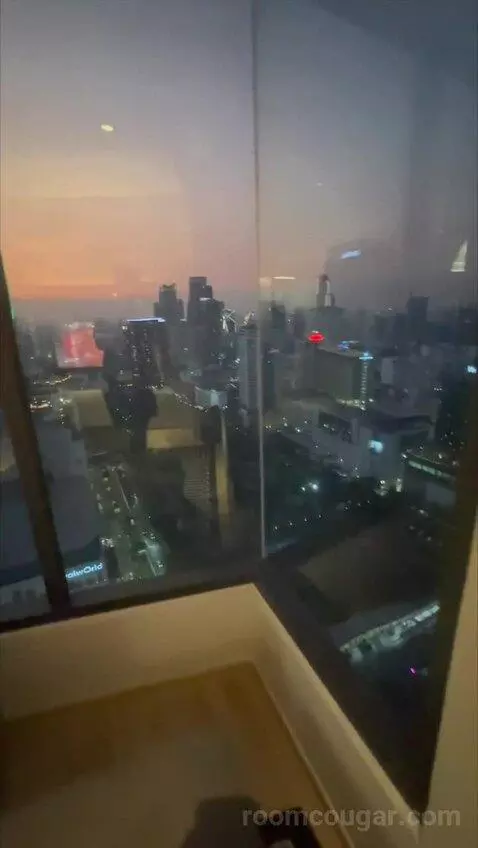 Deluxe Queen Room with City View (#2802) view picture #11